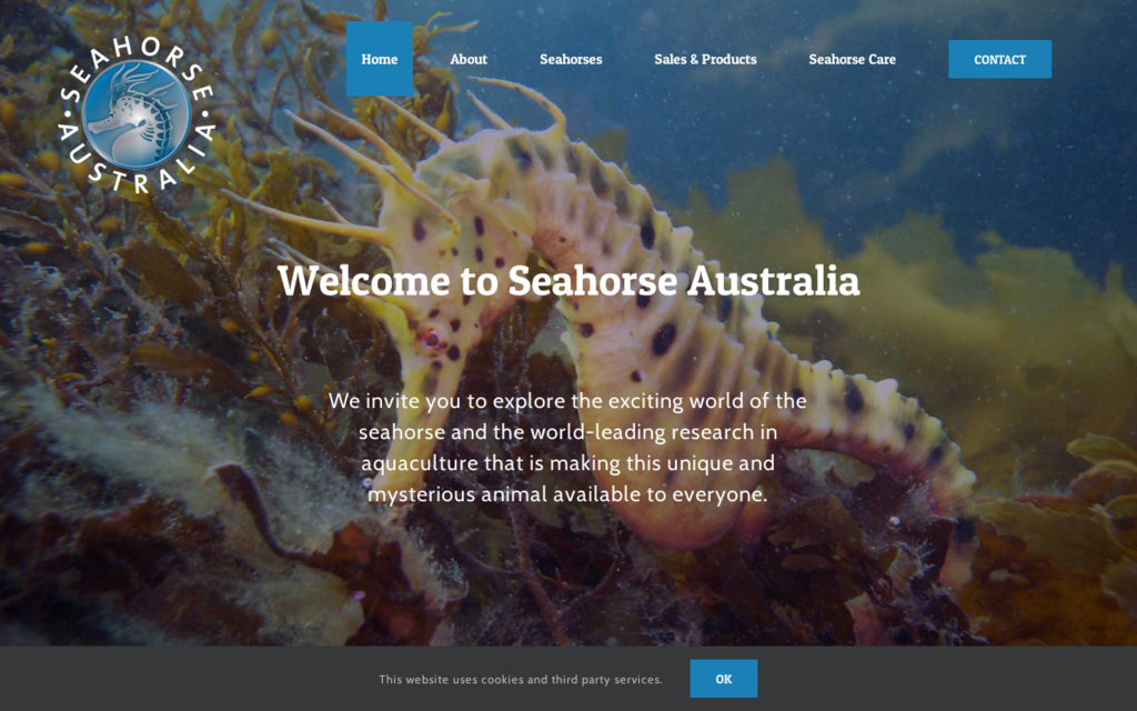 Seahorse Australia
